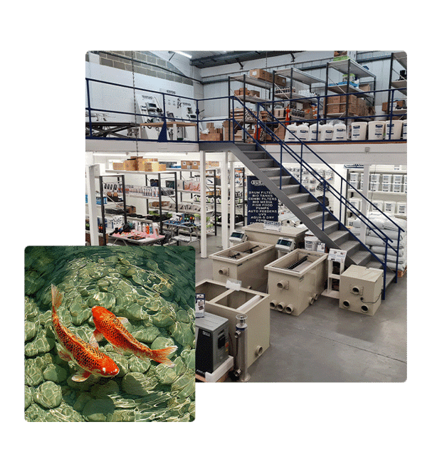 Aquatics-Images---V2