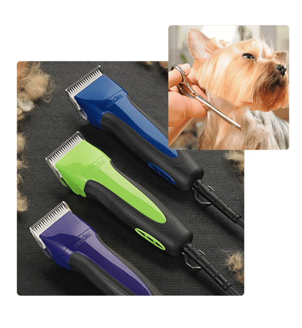 Grooming-Images---V2